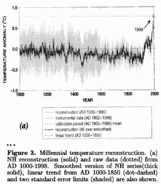 Northern hemisphere temperature chart from Mann et al, 1999