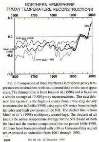 Northern Hemisphere Proxy Reconstructions from p2634 of the 'Detection and Attribution of Recent Climate Change: Status Report Barnett et al, Bureau of the American Meteorological Society, 1999